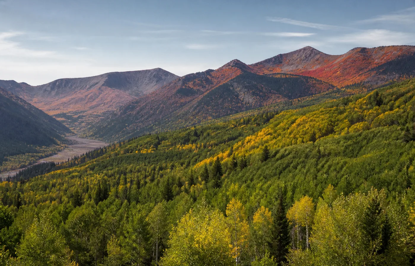 A mountain valley changing from green lower forest to red and amber upper slopes